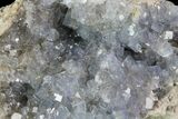 Purple/Gray Fluorite Cluster - Marblehead Quarry Ohio #81163-3